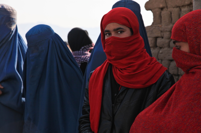 mid adult, wearing, adult, headscarfs, women, looking at camera, males, 5K, men, burqa, portrait, bee keeping, hood - clothing, warm clothing, people