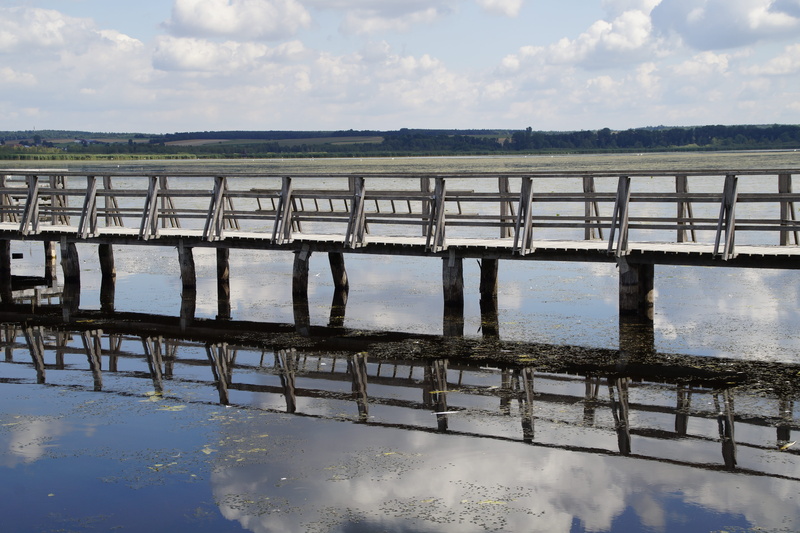 tranquil scene, nature conservation, outdoors, pier, clouds, mirroring, baden württemberg, day, railing, sky, summer landscape, grasses, summer, Spring Lake