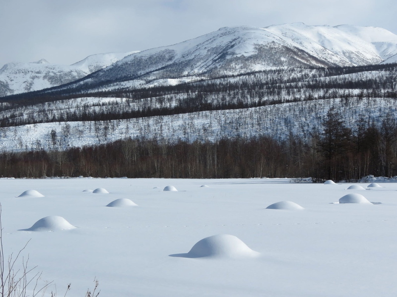 nature, cold temperature, winter, snow, tranquil scene, winter day, frozen, environment, beauty in nature, tranquility, the foot, silt, scenics - nature