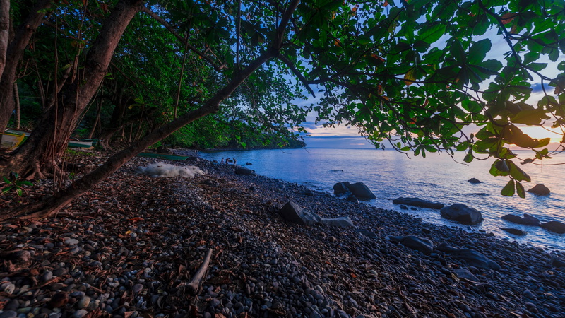 non-urban scene, photography, beauty in nature, nikon, forest, travel, no people, vacation, water, tree, nature lover, philippines, plant, camiguin island