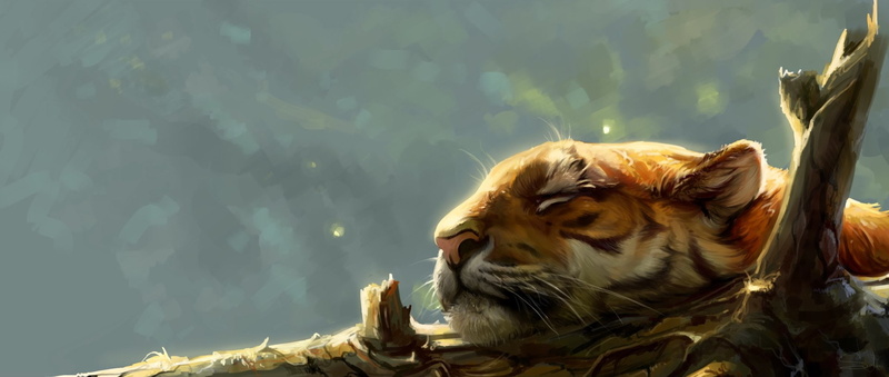 1080P, Muzzle, Big Cat, Tiger, Fantasy Animals, Sleeping