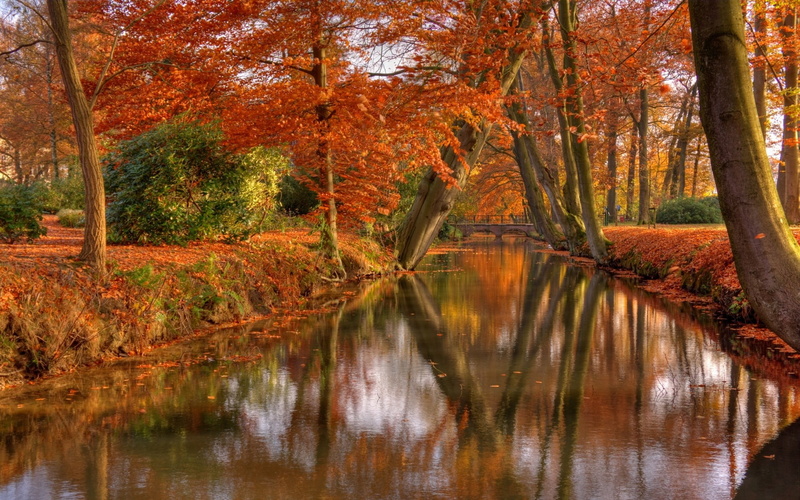 tranquil scene, shrubs, woodland, bridge, landscape, beauty in nature, orange color, idyllic, park, water, land, canal, autumn, 1080P, leaves, growth