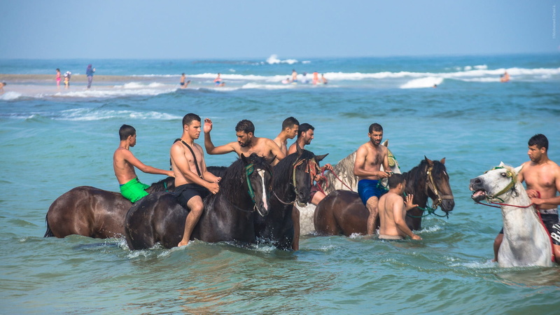 sport, morocco, game powder, mane, fantasia, men, equestrian, cavaliere, portrait, wave, horse, land, simo drissi, nature, group of people, plait, outdoors