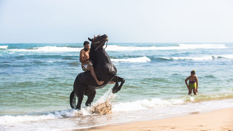 fantasia, portrait, people, domestic animals, 1080P, gallop, horses, horseback riding, cavaliere, horizon, outdoors, mohamed drissi kamili, sky, nature