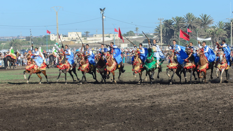 horses, real people, vertebrate, large group of people, mane, beach, gallop, tbourida, crowd, cavaliere, livestock, group of people, sky, fantasia, game powder