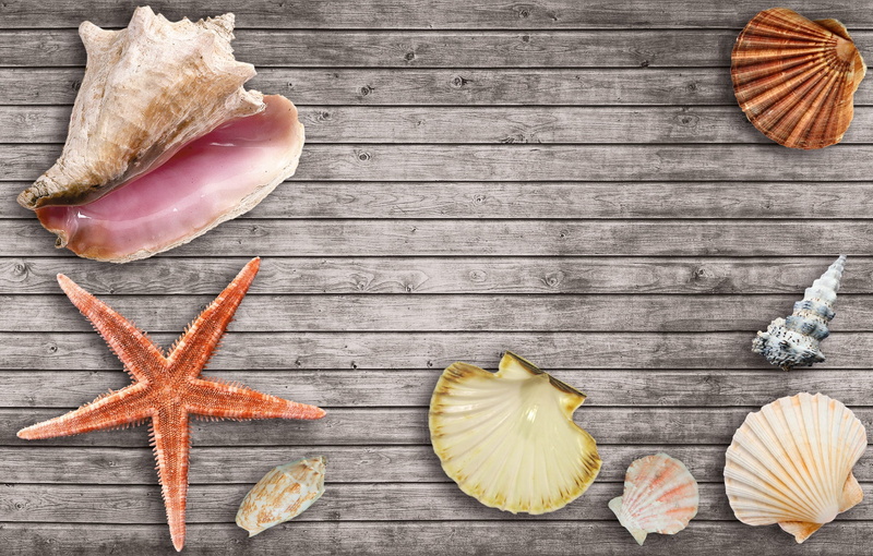 wood - material, food and drink, no people, sommerfest, sun, indoors, holiday, vintage, summer, relax, still life, high angle view, starfish