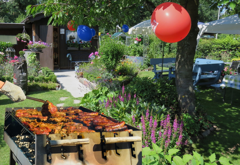 birthday, gas, grill, flowering plant, sunlight, roast, front or back yard, growth, green color, welcome to, bratwurst, emotions, summer, multi colored