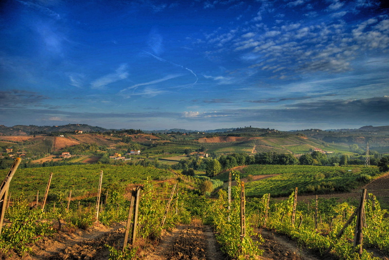 rural Scene, europe, grapes, ciele, vigne, outdoors, hill, toscana, mountain, sigma, italy, cloud, land, grass field, panorama, landscape, scenics, chianti