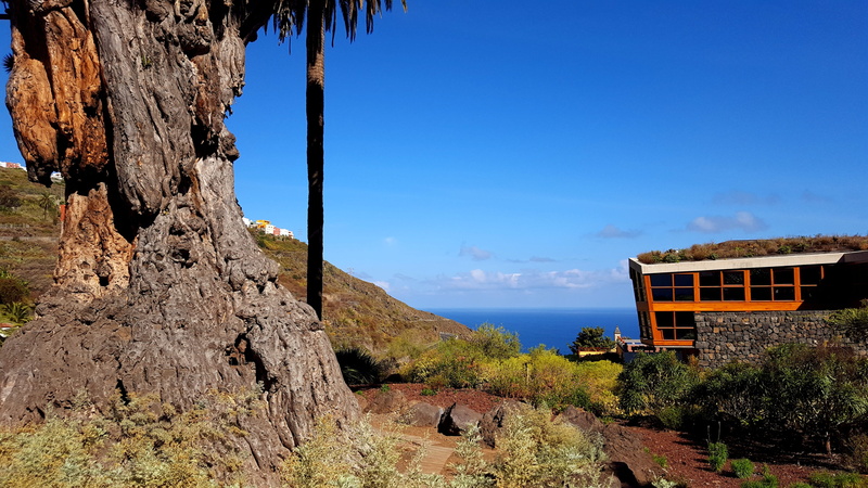blue, sky, architecture, botanical garden, landscape, scenics, sea view, no people, palm, rock - object, Dragon Tree, rock, scenics - nature, land, 5K
