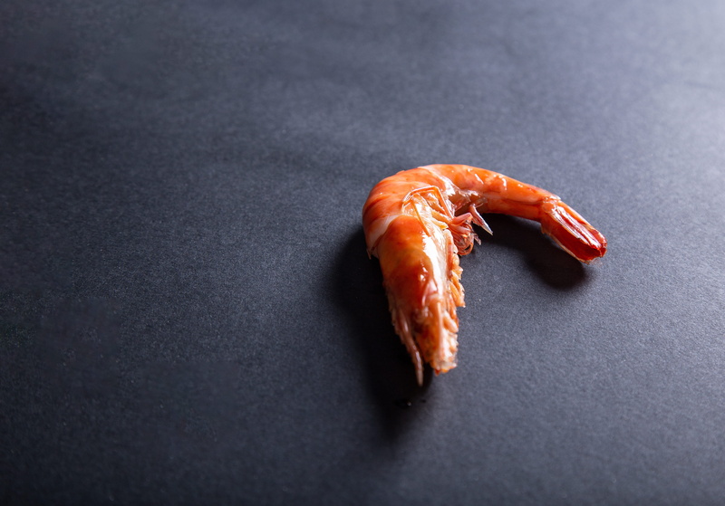 orange color, food, crawdad, high angle view, food photography, still life photography, sea life, studio shot, copy space, meat, single object, wellbeing