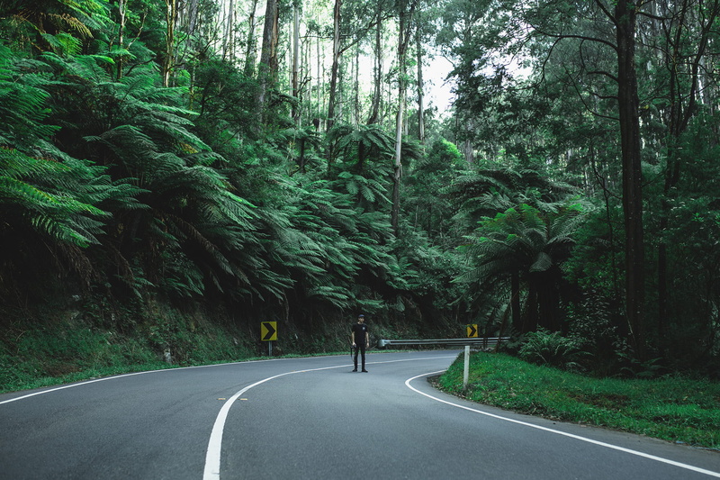 benblenner, sign, day, beauty in nature, green, road marking, marking, green color, man, plant, nature, one person, the way forward, land, symbol, tranquility