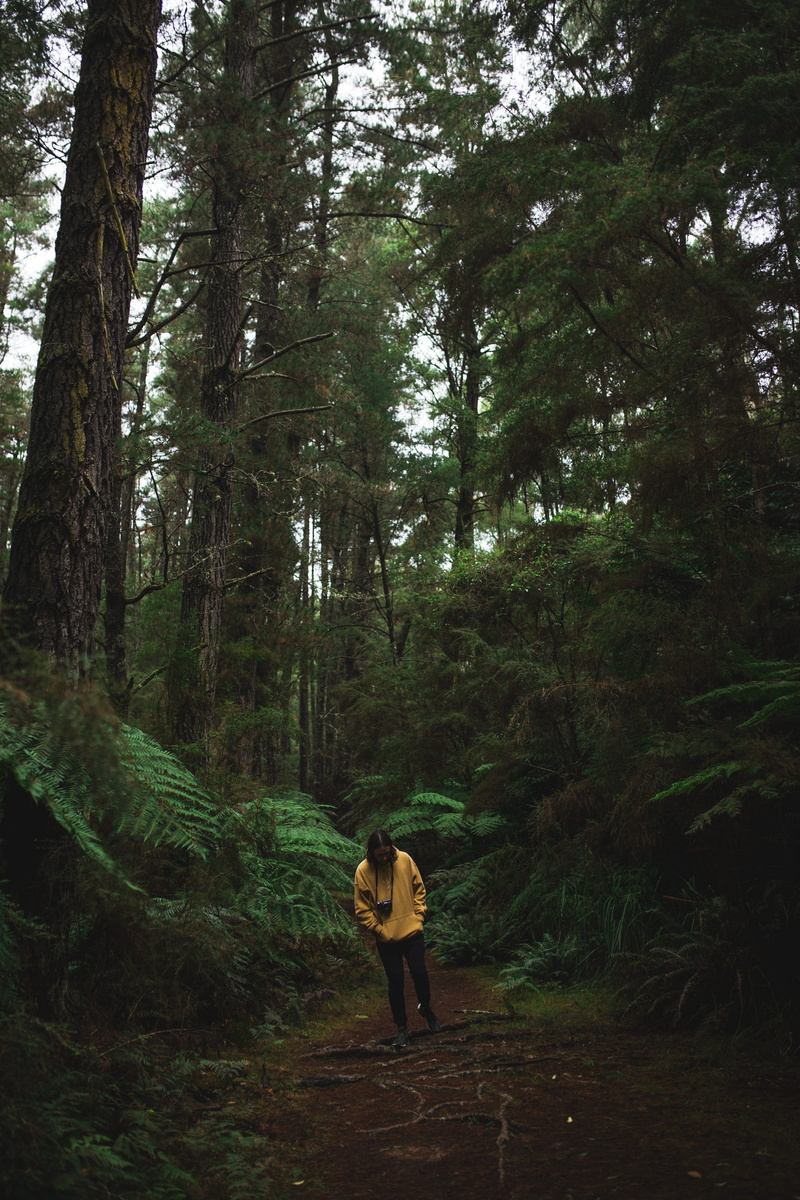 benblenner, outdoors, tranquility, rear view, moody, 5K, women, day, nature, real people, leisure activity, woodland, instagram, photography, fuji x100