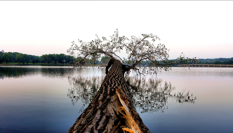 f/2.8, wide angle, des moines, body of water, boring, water, body, 4K, Fallen, lake, tree, Canon EF, brown, nature, water  tree, river, reflection