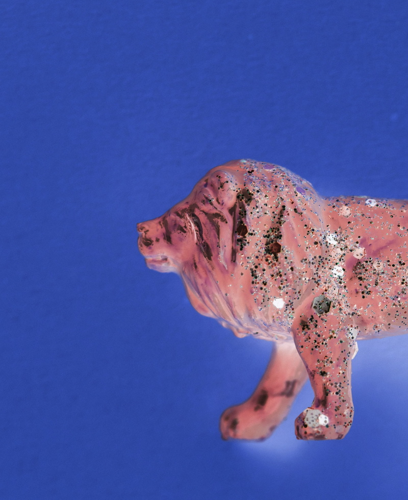 funky, figure, mammal, pink color, colored background, isolated, blue, nature, one animal, closeup, animal, no people, background, glittery, invert, close-up