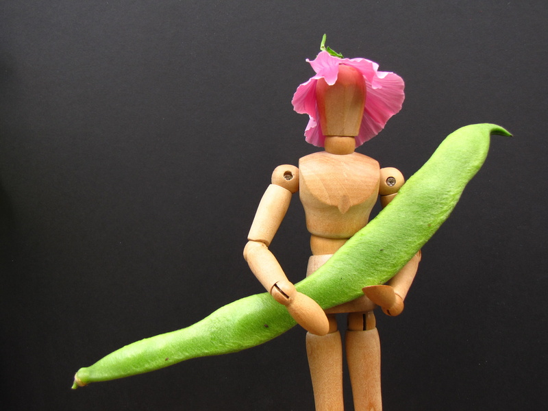 flowering plant, fashion, 2K, pink color, bean, art and craft, plant, art, mannequin, runner bean, animal themes, dummy, gardening, green color, studio shot