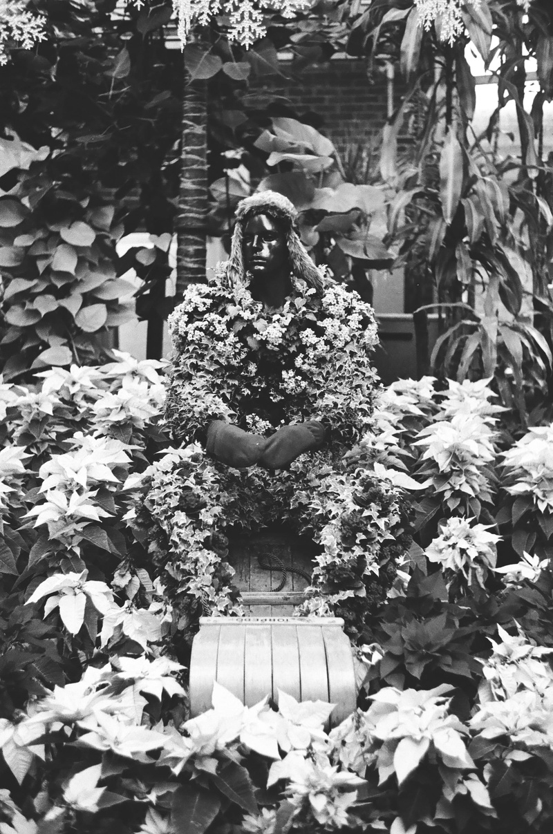 trees, human representation, person, spirituality, representation, plants, toronto, winter, statue, plant part, nature, day, flowers, belief, tree, outdoors