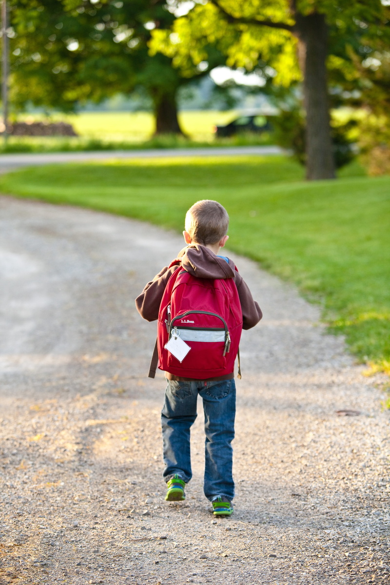 near, men, plant, hoodie, red, carrying, trees, student, person, school, casual clothing, park, road, elementary, lifestyle, young, day, tree, youth, one person