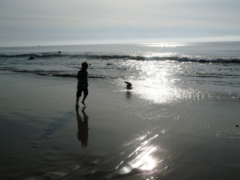 tide, sea, horizon, young, waves, people, wave, seascape, full length, seagull, the coast, shoreline, playing, land, fun, horizon over water, lifestyles