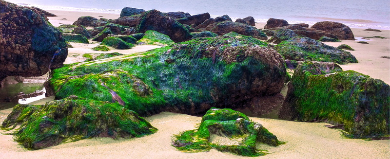 rock - Object, sea, stone, lagoon, rock, environment, beauty in nature, scenic, sand, seascape, daytime, solid, shore, coast, coastal, ocean, day, coastline