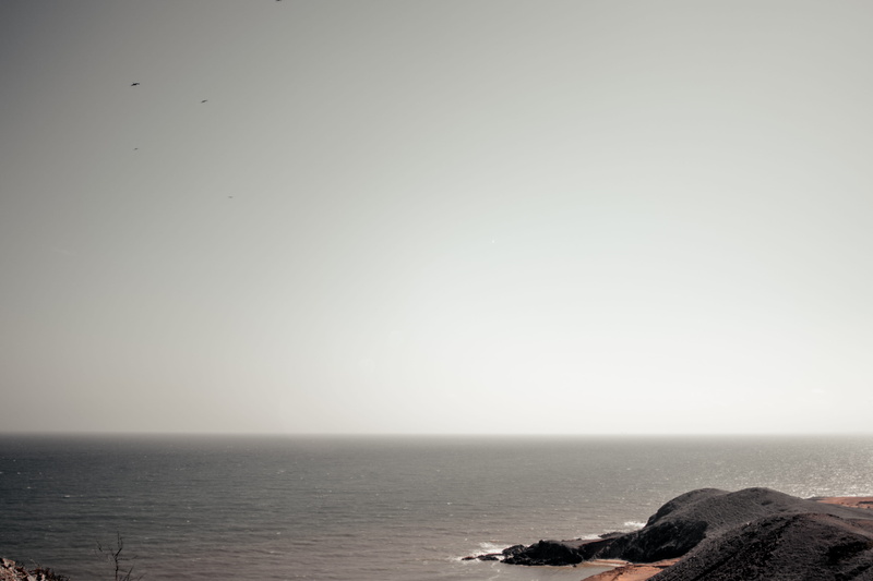 animal themes, view, coastline, shore, horizon over water, birds eye view, tranquil scene, seashore, island, tranquility, sky, sunlight, outdoor, copy space