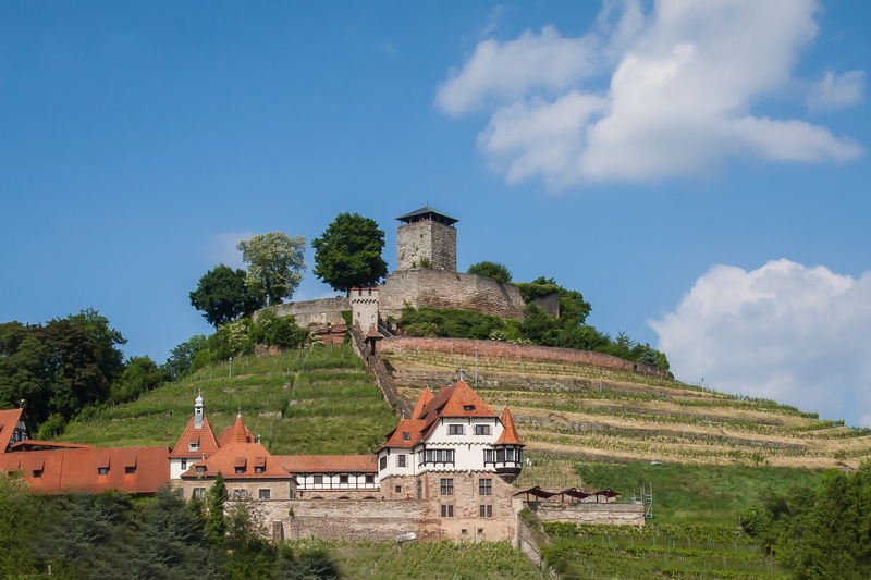 land, middle ages, fortress, plant, travel destinations, building exterior, the past, tourism, old ruin, old, Stone, travel, medieval, built structure