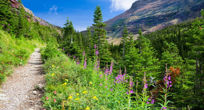 1080P, scenery from behind, natural pubic hair