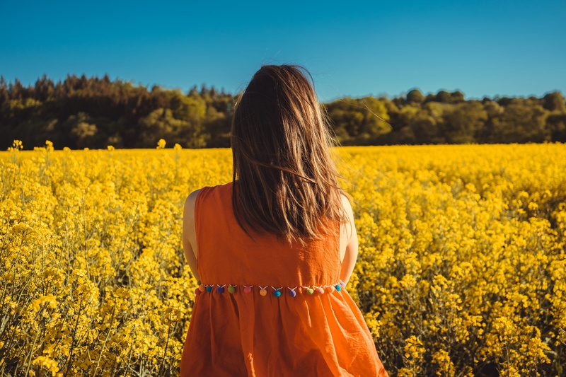 one person, land, back view, outdoors, women, flower field, adult, tree, from behind, hair, flowering plant, yellow, lifestyles, looking, rear view, growth