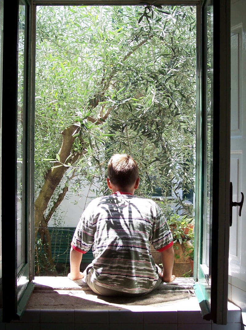 people, guy from behind, casual clothing, men, house, home Interior, transparent, boys, day, sitting, adult, caucasian Ethnicity, olive tree, trees, leisure activity