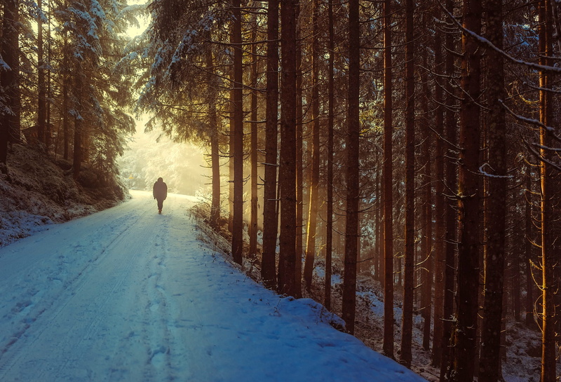full length, dawn, hiking, nature, land, landscape, 1080P, countryside, leisure activity, walking, silhouettes, forest, outdoors, country, wilderness