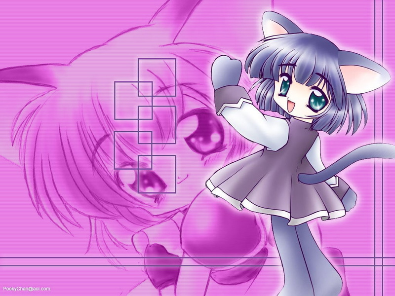 Unknown, 480P, Anime, Cat Girl