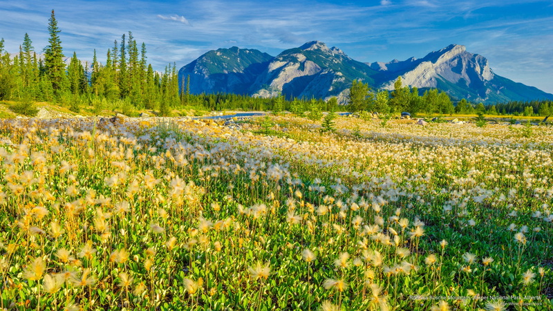 alberta, mountain, jasper, park, Mountains, national, roche, 2K, bosche