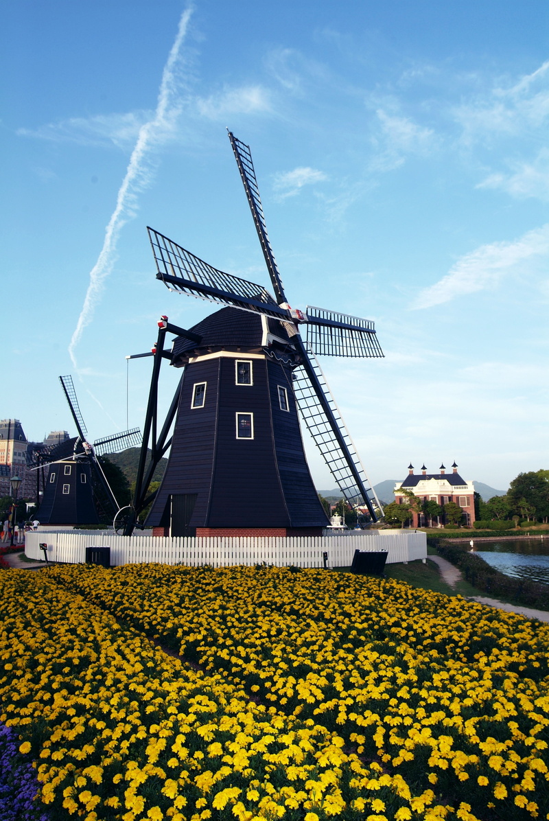 kyushu, fuel and power generation, turbine, flower, 4K, building exterior, windmill, cloud - sky, flowerbed, water, nature, yellow, renewable energy, sasebo