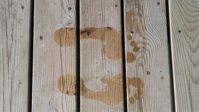 wet, wood paneling, wood - Material, plank, day, no people, brown, feet, material, wall - building feature, human, close-up, textured, wood grain, 4K