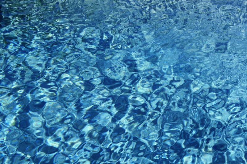 reflections, wrinkles, full frame, bokeh, rippled, ocean, background water, large group of animals, azur, close up, waterfront, blue background, day, ripple