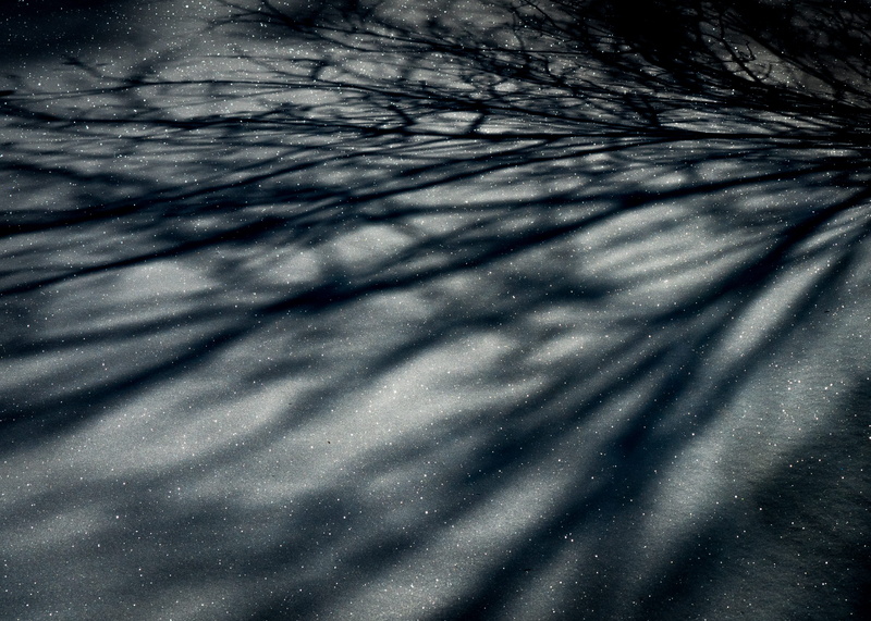 abstract, focus on shadow, beauty in nature, walkway, cobblestone, dirt road, day, no people, tree, textured, winter, texture, 4K, close-up, snow, stars