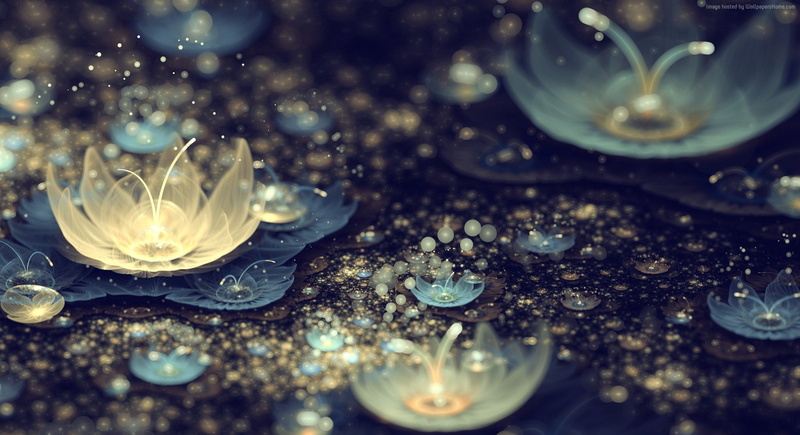 background, 1080P, dots, flowers, rain