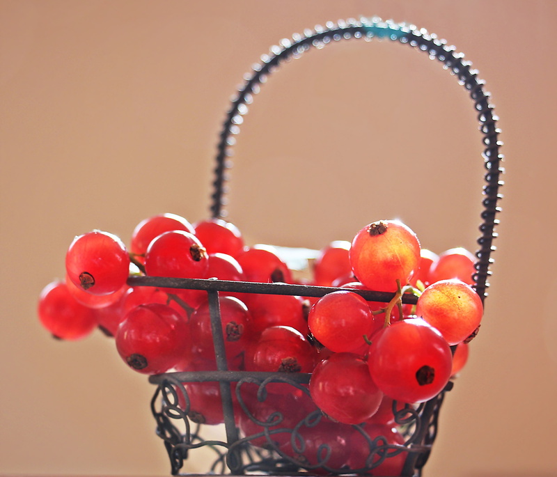 meertrübeli, frisch, group of objects, freshness, ripe, abundance, close-up, studio shot, nutrition, healthy eating, still life, currants, garden, healthy