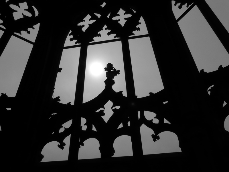 plant, building, no people, architecture, trueb, tree, gothic, pattern, silhouette, clear sky, nature, cold, indoors, dom, ornament, gloomy, architectural column