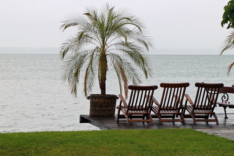 rain, plant, horizon, 2K, land, wet, tree, trueb, moist, tropical climate, no people, lake, out, water, tranquility, chairs, bank, click, palm leaf, palm tree