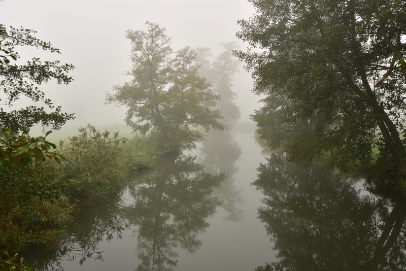 haze, outdoors, water, day, trees, moist, tranquility, tranquil scene, scenics - nature, sky, beauty in nature, tree, growth, no people, mystical, bach