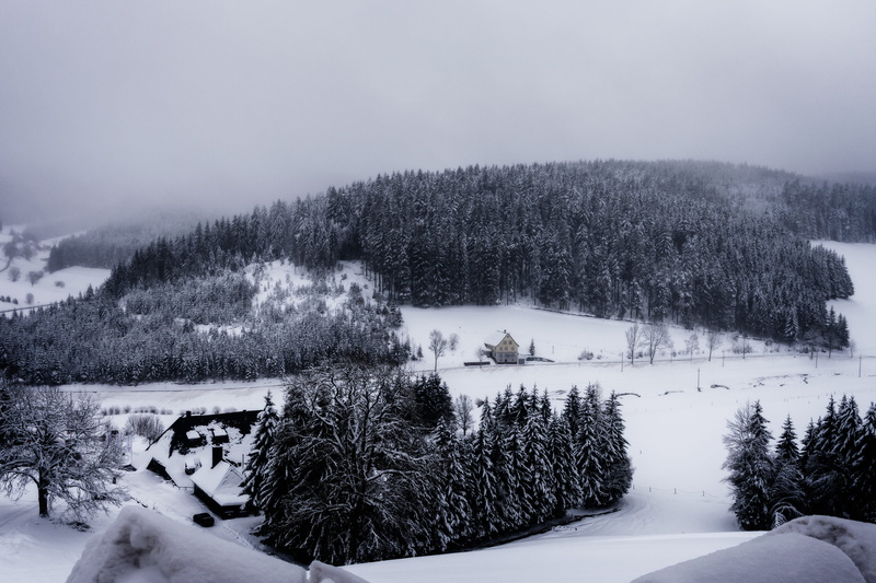 fog, 5K, land, view, nature, non-urban scene, tree, trueb, white, environment, winter, sky, water, outdoors, idyll, day, distant, outlook, tranquil scene