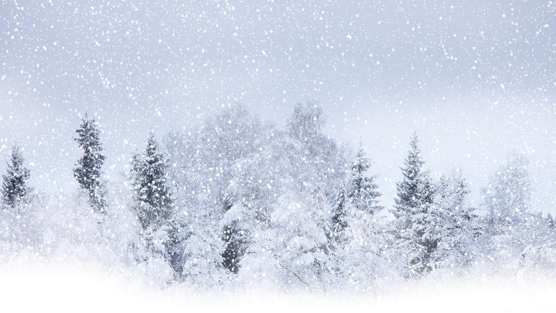 precipitation, nature, day, snowing, spruce Tree, cold temperature, snowfall, covered, mountain, january, environment, land, snow, snowflake, tree, pine Tree