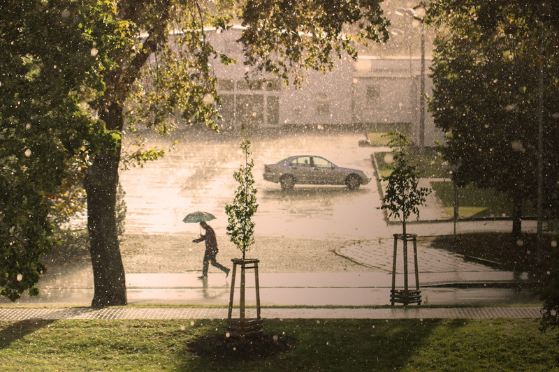 park, rain, plant, grass, park - man made space, tree, architecture, umbrella, no people, run, climate, thunderstorm, precipitate, built structure, storm