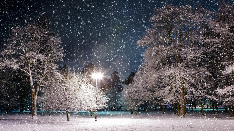 snowing, illuminated, trees, street, weather, scenics, landscape, january, nature, no People, extreme weather, park, tranquility, christmas, land, season