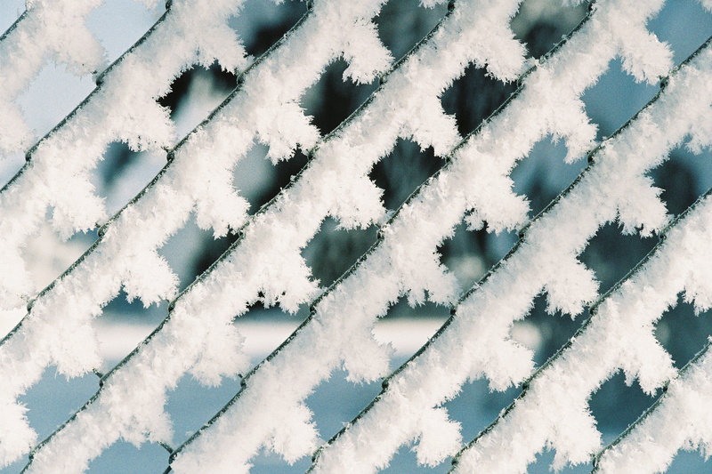 Solid, Precipitation, covering, day, Hoarfrost, plant, graphically, full frame, scenics - nature, abstract, frozen, 2K, raufrost, white color, solid precipitation