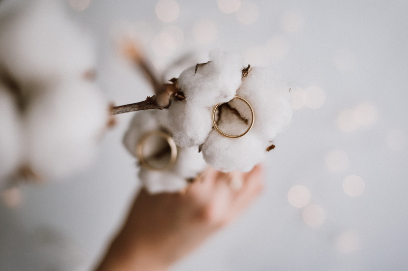 holding, invertebrate, body part, day, close-up, snowflake, human body part, animal body part, one person, hand, coil, adult, ring, selective focus, wedding