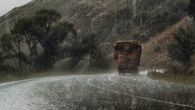wet, rain, fog, outdoors, weather, outdoor, grass, beauty in nature, plant, water, rick, Tree, Hail, drop, transportation, environment, land, architecture