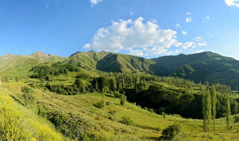 no People, background, clouds, non-Urban Scene, mountain Range, sky, forest, tranquil scene, blue, mountains, rolling landscape, rural, beauty In Nature