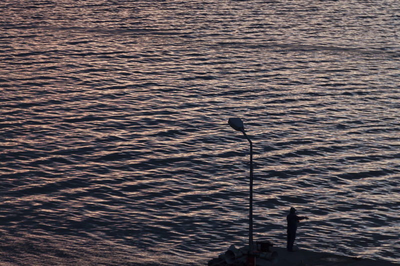 marine, day, sky, fantastic, light, scenics - nature, morning, twilight, lighting equipment, in background, rod, animals in the wild, beach, peace, outdoors