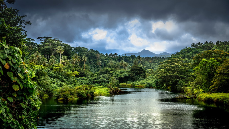 Samoa, palm trees, trees, tropics, river, jungle, greens, 2K, forest, mountains, clouds, the bushes